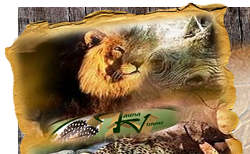 banner-samosir88